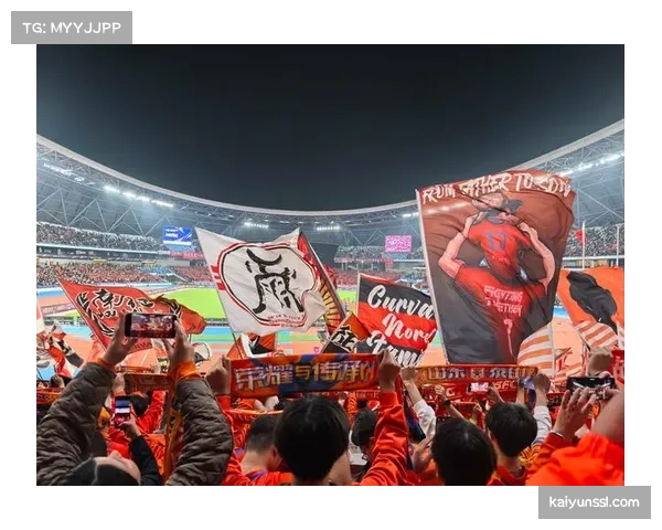 维拉公园北看台下赛季将重建以符合欧洲足协及英超更高规格